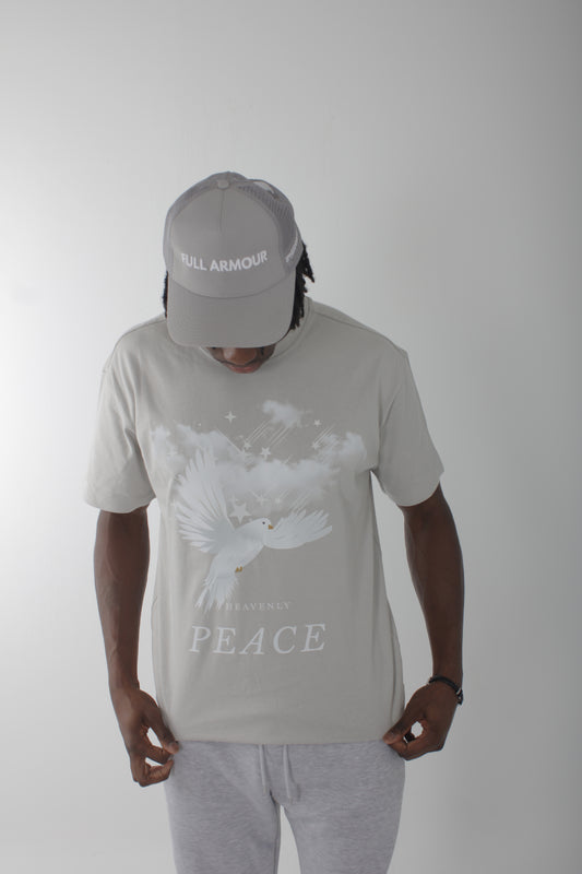 Heavenly Peace T-Shirt - Asphalt White